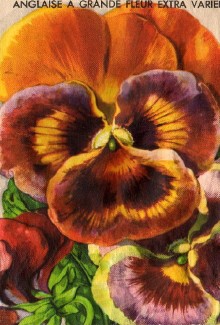 app0047